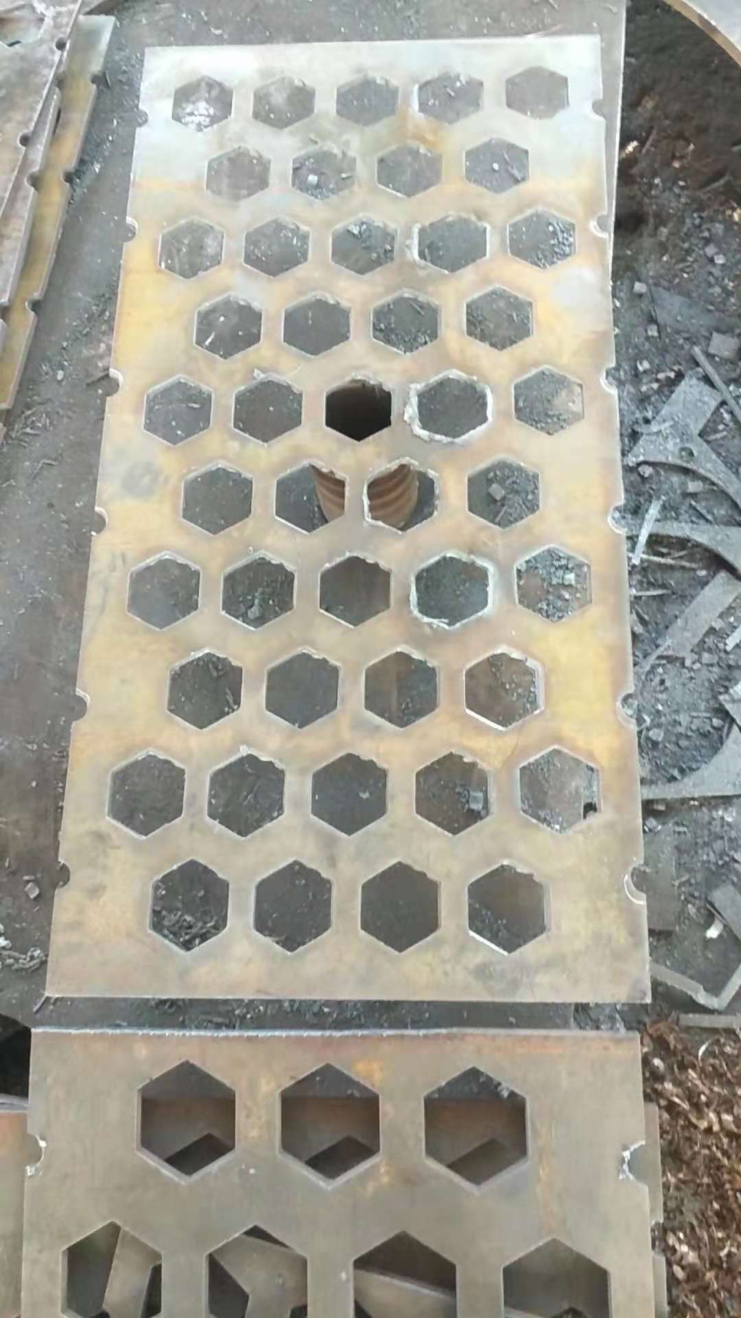 &#20048;&#40060;